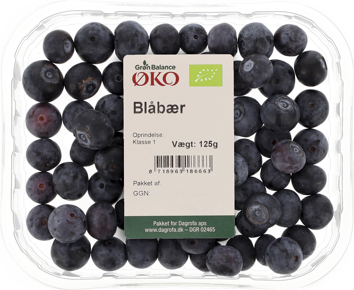 Blåbær øko.