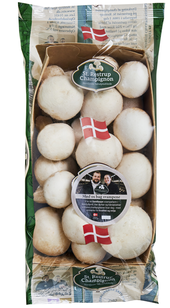 Champignon 250 G. – produktbillede