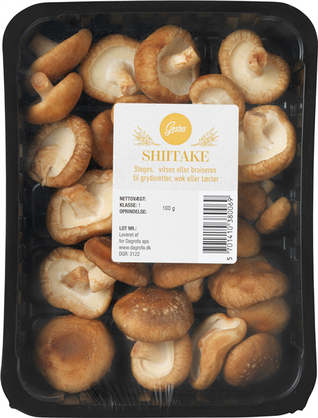 Svampe, Shitake