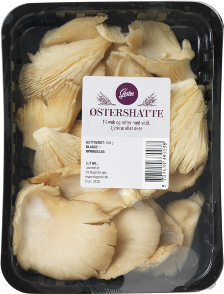 Østershatte – produktbillede