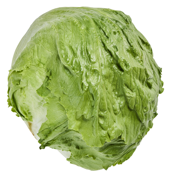 Øko-Iceberg