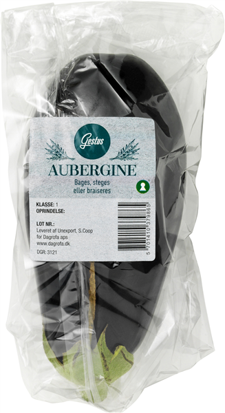 Aubergine