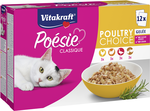 Poesie Classique Gelé