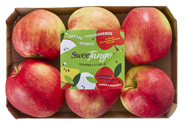 SweeTango Æbler