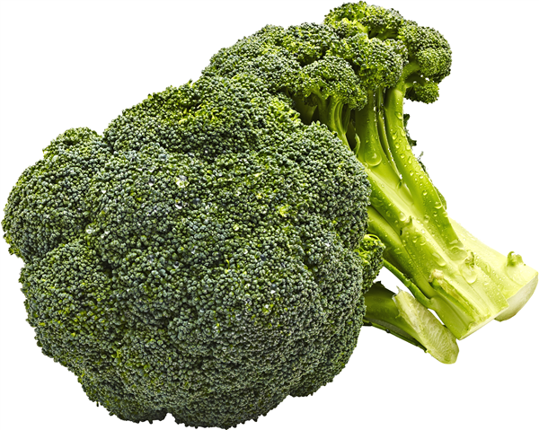 BROCCOLI