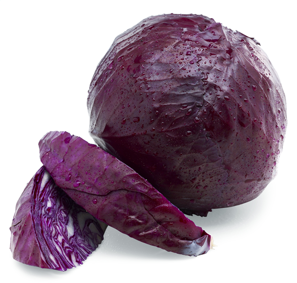 Økologisk Rødkål