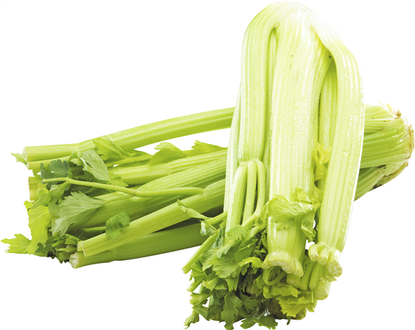 Bladselleri