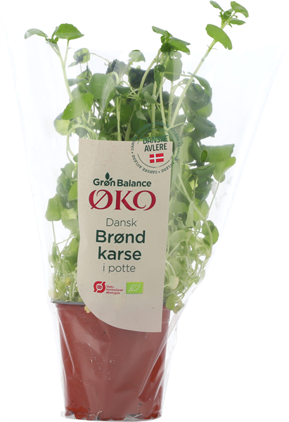 Øko-brøndkarse (gb) – produktbillede