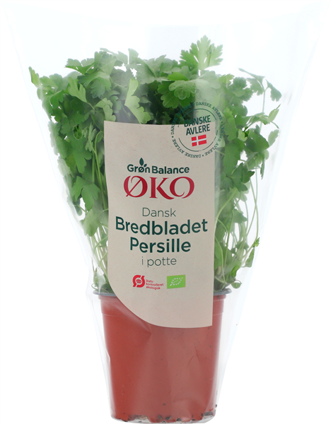 Øko Krydderurter