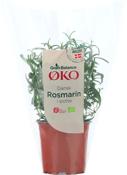 Øko-rosmarin (gb)