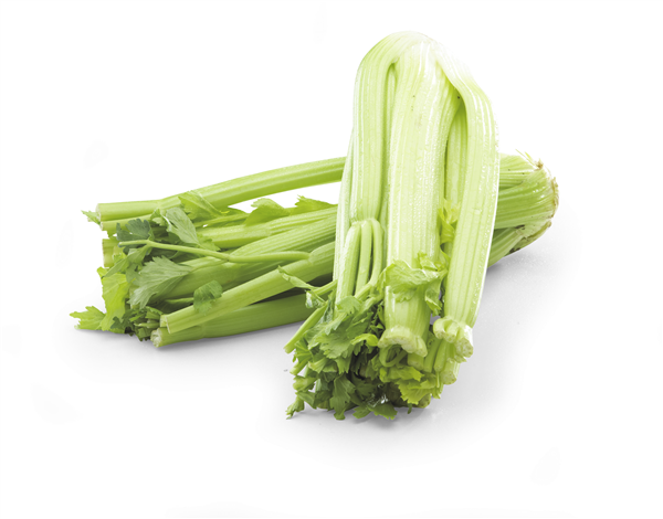 Øko. Bladselleri
