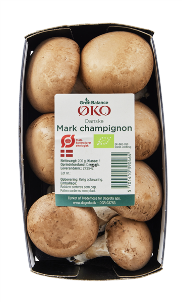 Øko-svampe Brune