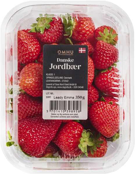 Jordbær