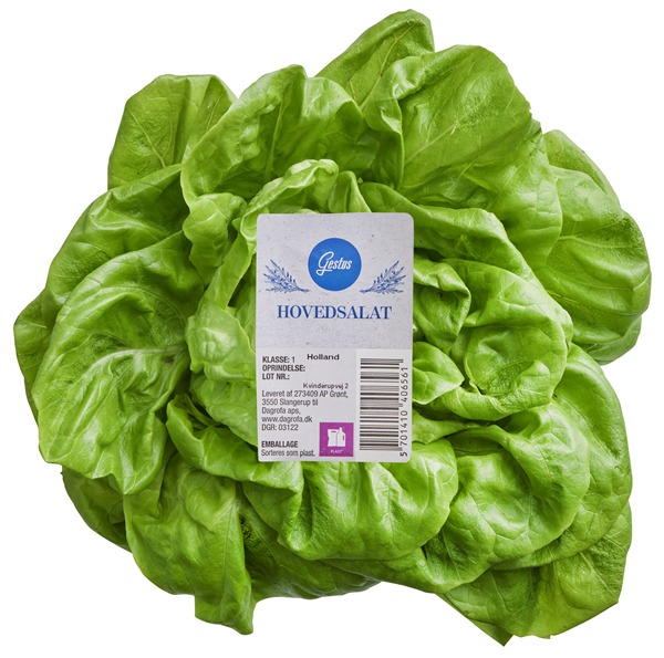 Salat Hoved Gestus – produktbillede