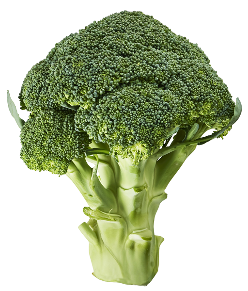Øko Broccoli