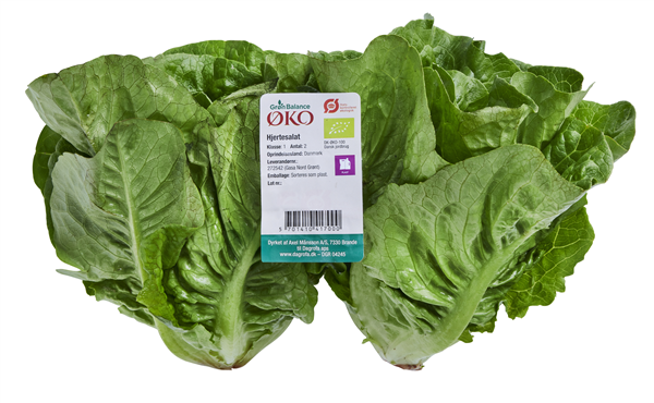 Øko. Hjertesalat