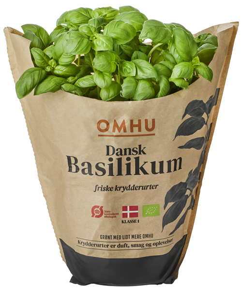 Øko-basilikum Stor Omhu