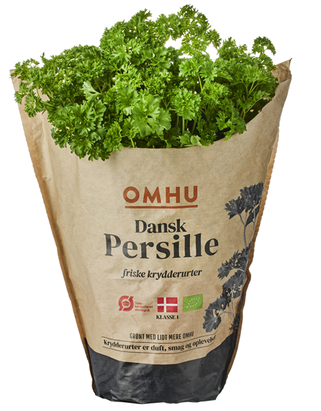 Øko-persille Stor Omhu