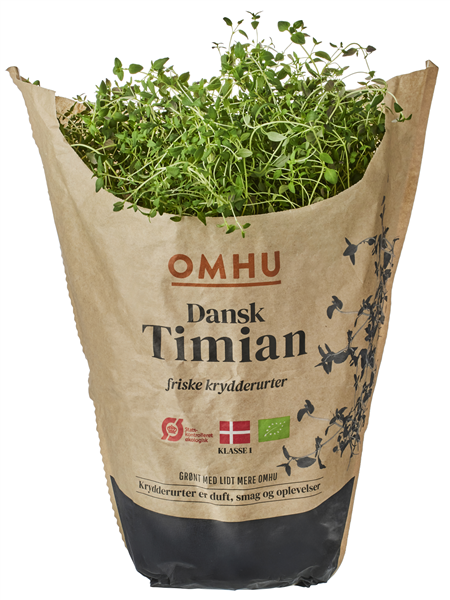 Øko-Timian Stor Omhu