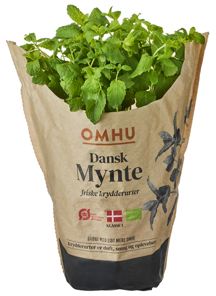 Øko-Mynte Stor Omhu