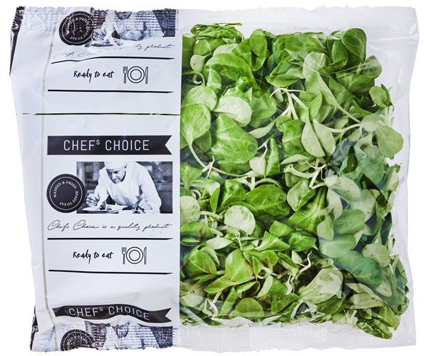 Øko-Feldsalat