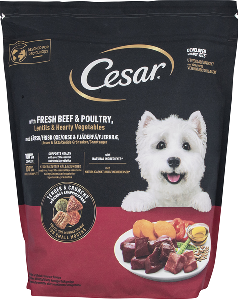 Cesar Dry Beff & Poultry