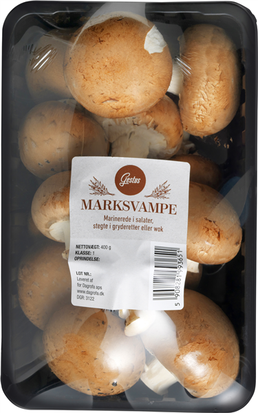 Marksvampe