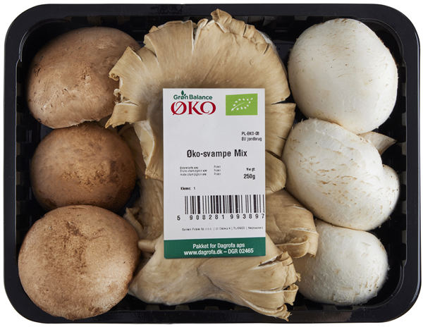 Øko-Svampe Mix – produktbillede