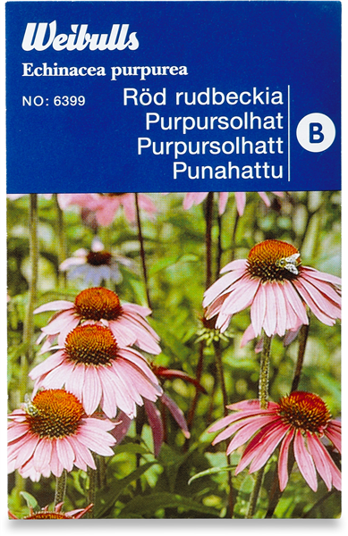 Solhat Purpur