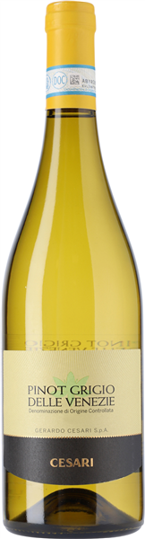 Cesari Pinot Grigio