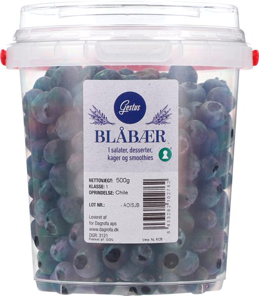 Blåbær