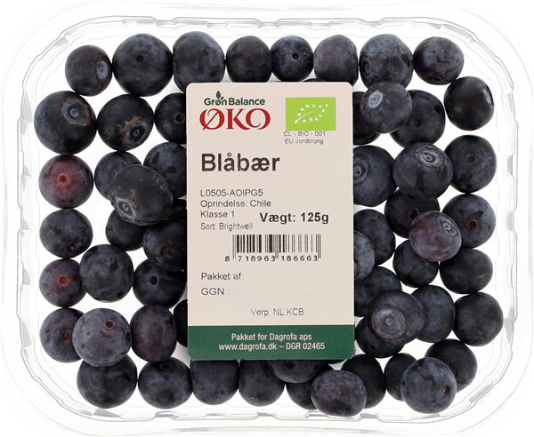 Øko.blåbær
