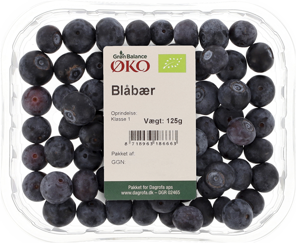 Øko-blåbær